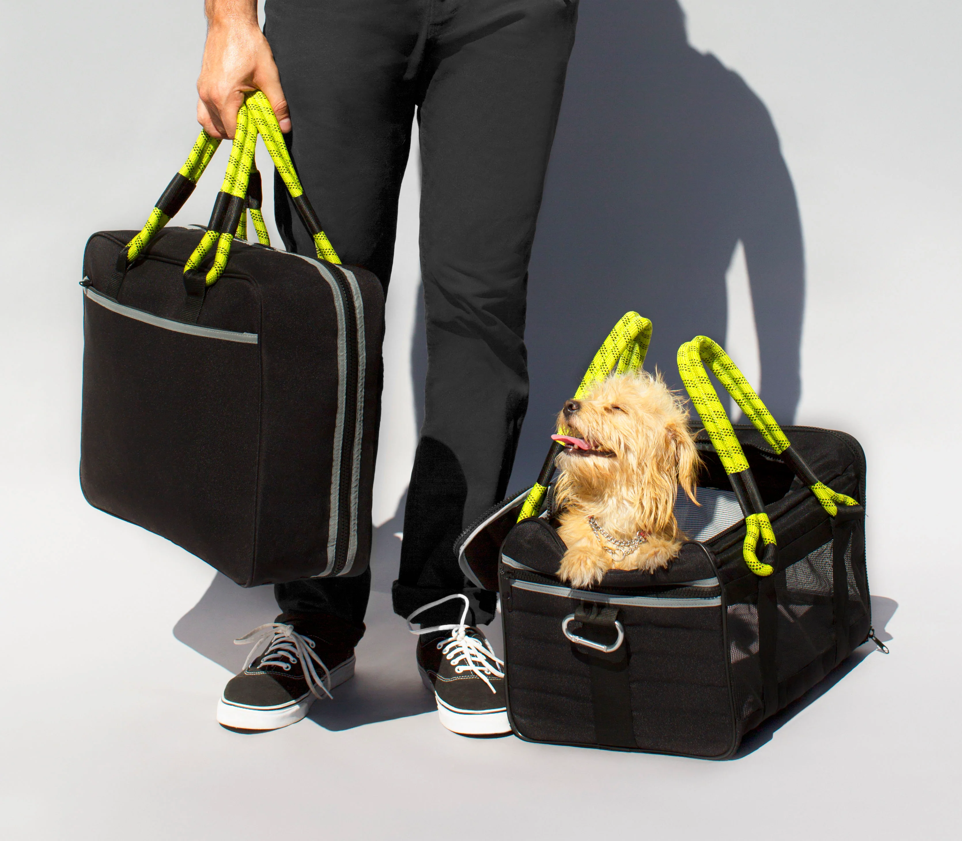 Adventure with pets