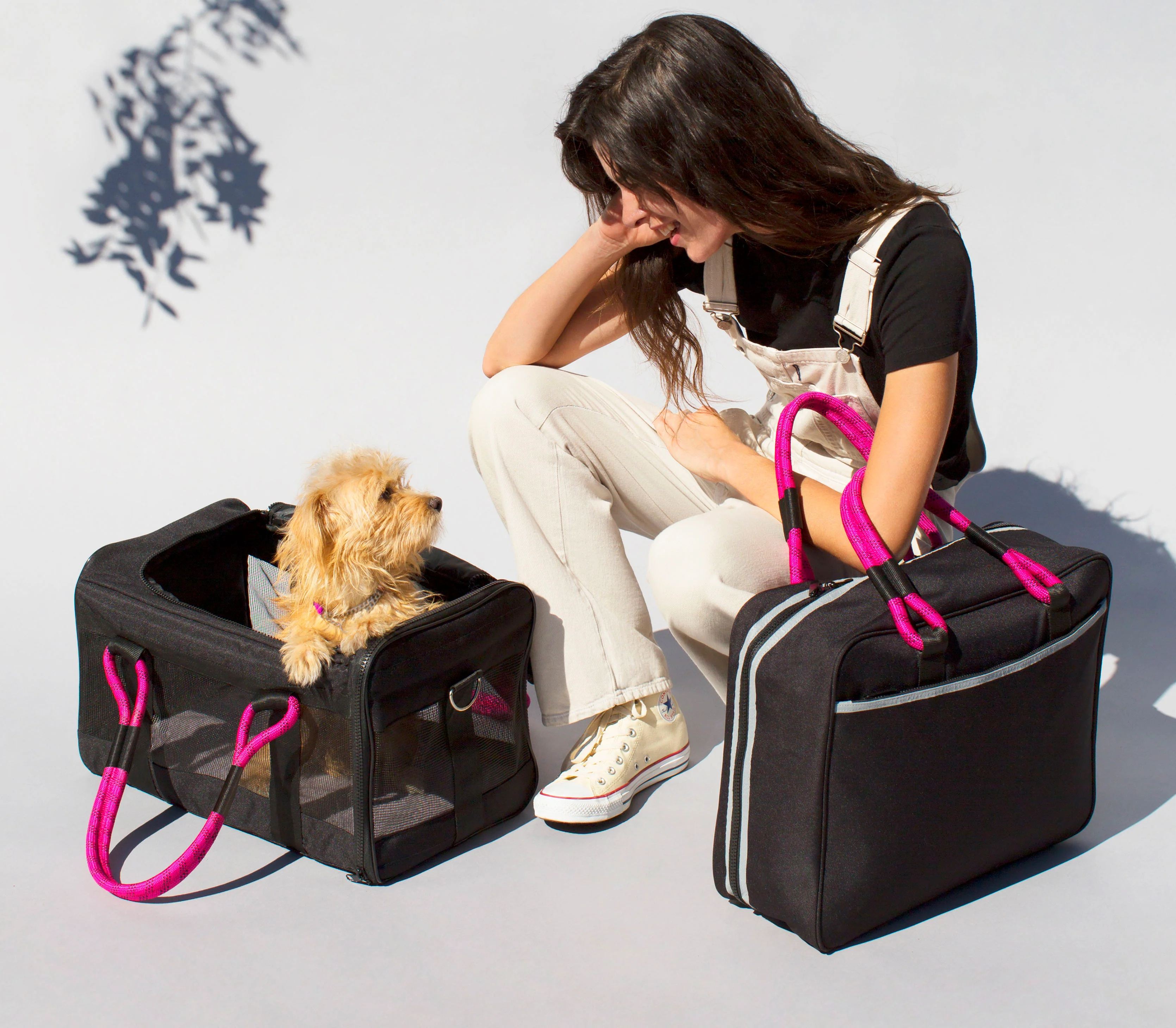 Pet carrier