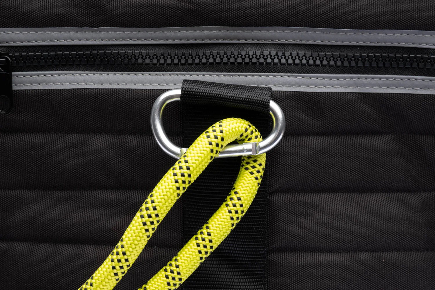 Pet travel